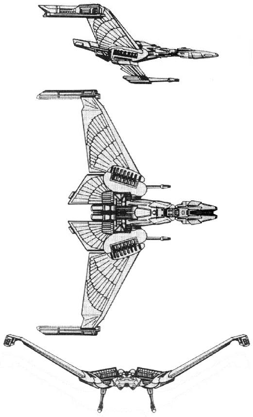 Romulan_V-39